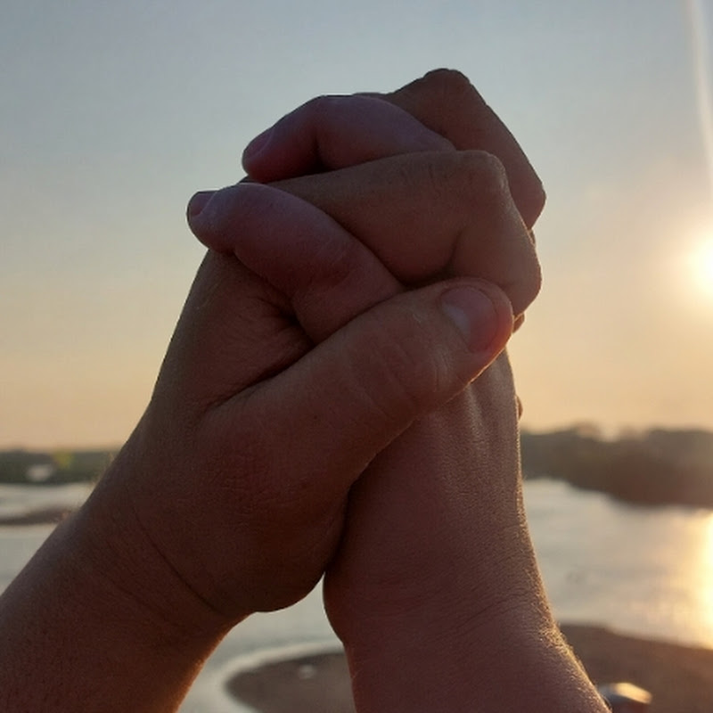 Poesía sin Límites