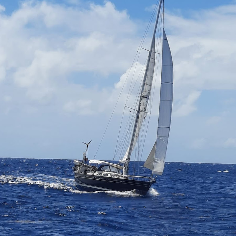 sailing-cocon