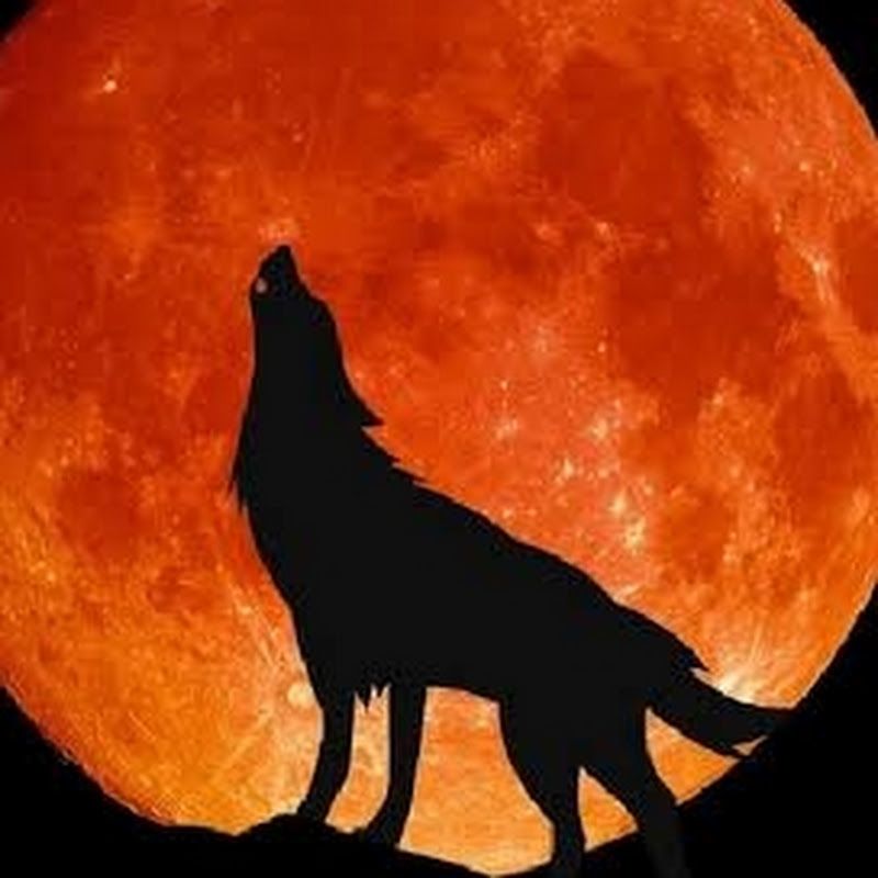 WolfMoon06 BR
