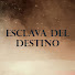 RvWizPt-6_o-channel-avatar-Esclava Del Destino - Güvercin
