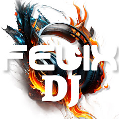 FELIX VDJ