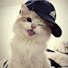 nRiMFXHY8bI-channel-avatar-Thetrend