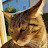 @Pepe2018cat's avatar