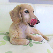 yoshiの自作ラーメンチャンネル