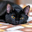 @SleepyDoozyCat