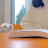 @gloria_library