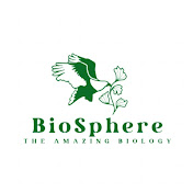 BioSphere with Adeel