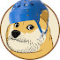 q4gIYvfr4vs-channel-avatar-Eck