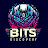 @BitsDiscovery