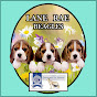 Lane Rae Beagles logo