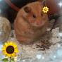 HamHam Peanut 채널 이미지