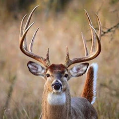 Chambers outdoors