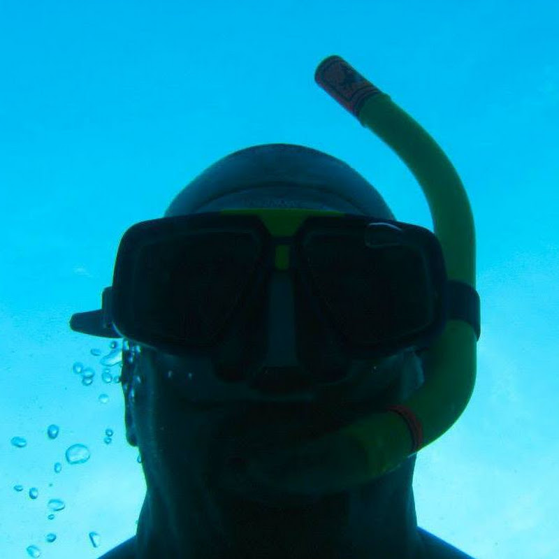 Apnea Coding