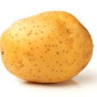 SPUD-g1n