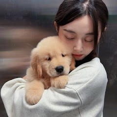 赵月芽的十五アイコン画像