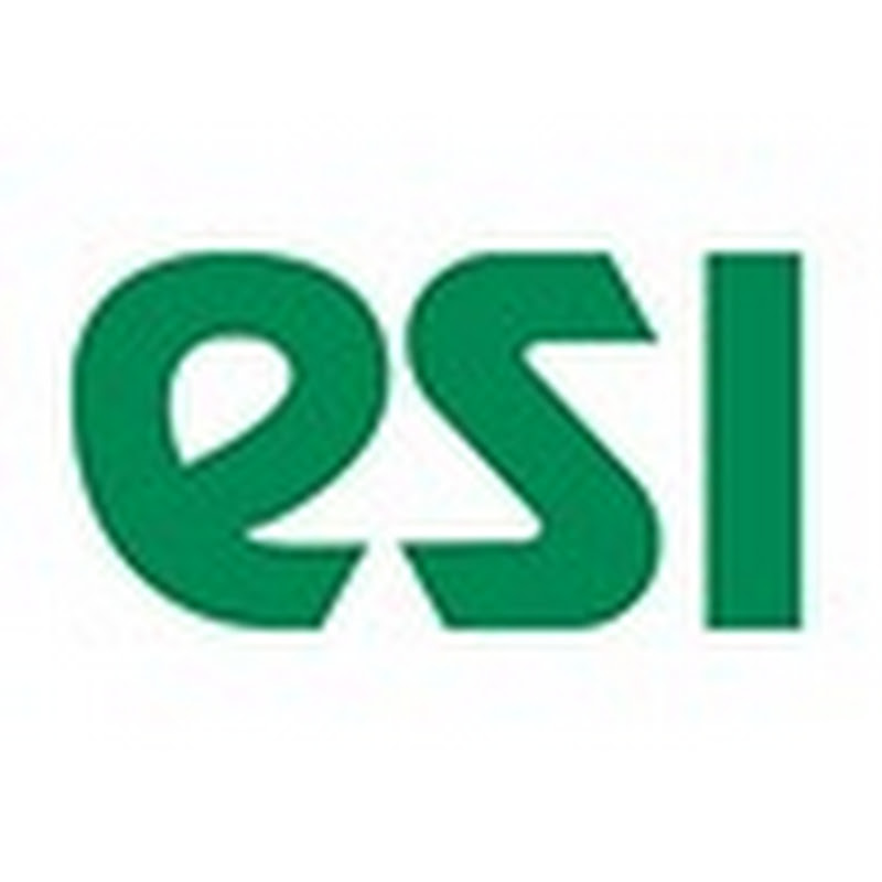 ESI Technology Limited