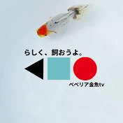ぺぺリア金魚tv - PEPERIA GOLDFISH TV