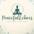 ZXCs0yMMU58-channel-avatar-Peaceful Echoes