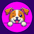 JOY DOG
