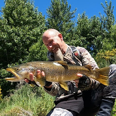 Kiwi Troutstalker