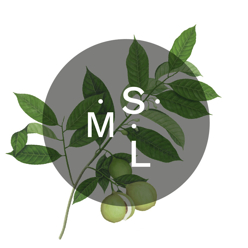 Marie-Sophie L - NatuRawChef