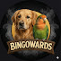 ILAG29YBBTw-channel-avatar-BingoWards