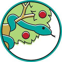 Thumbnail of related channel