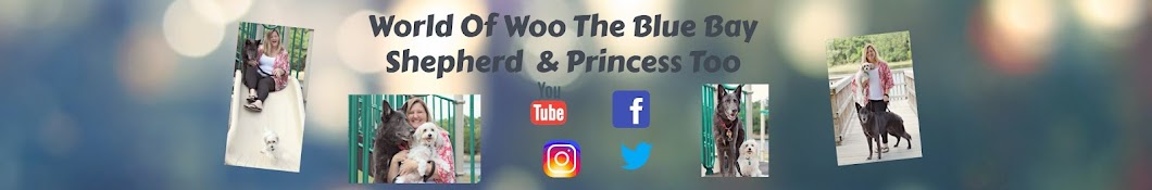 World Of Woo The Blue Bay Shepherd & Princess Too यूट्यूब चैनल अवतार