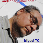 Miguel Toston Cienfuegos