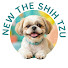 -p8jS3KCY-E-channel-avatar-New The Shih Tzu