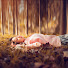 E3XJOvJMXBY-channel-avatar-sleeping angel