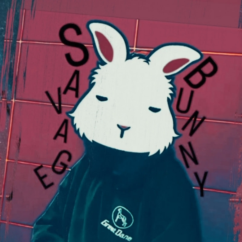 Hire Savage Bunny Productions — Indie Game Showcases & Reviews YouTube creator for sponsorships