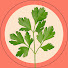 cxXvd-ohevY-channel-avatar-parsley sauce