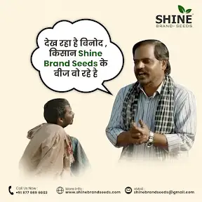 Shine Brand Seeds YouTube channel