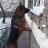 Автор