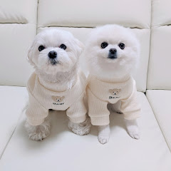 子供と犬LIFEアイコン画像