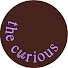 xi89F-2Bt0o-channel-avatar-the curious