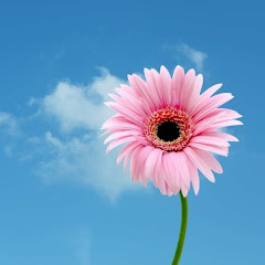 2ch  面白い , 速報