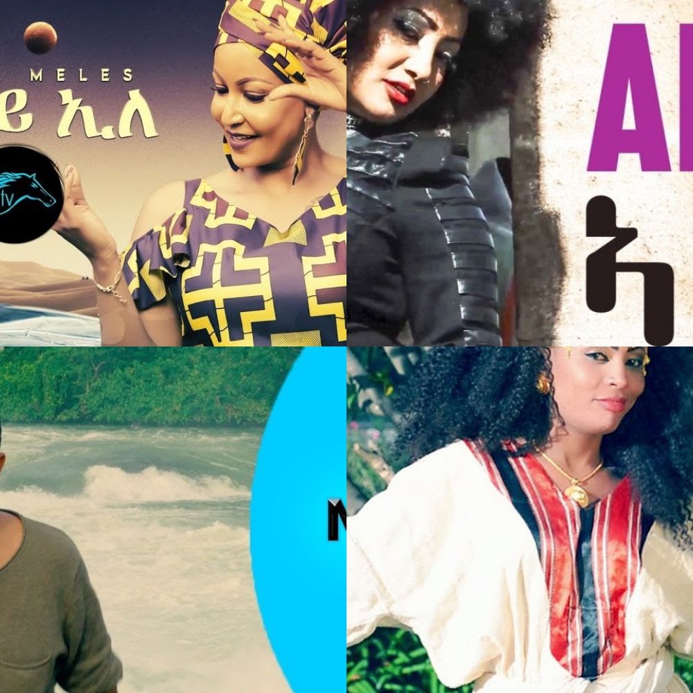 habtat zerezghi megedile