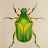 Avatar photo