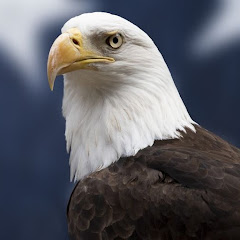 人间观察アイコン画像