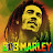 @ReggaeMusicMix99