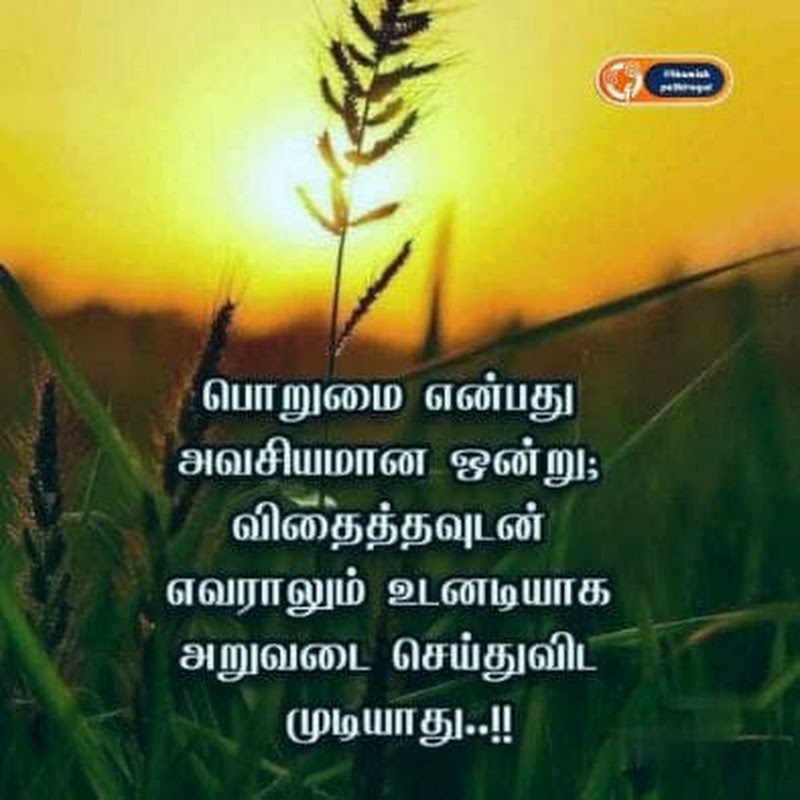 Simple &taste cooking