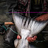63J6xNgFpOo-channel-avatar-Faraway Fly Fishing