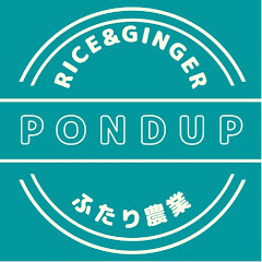 pondup channelふたり農業 水稲生姜