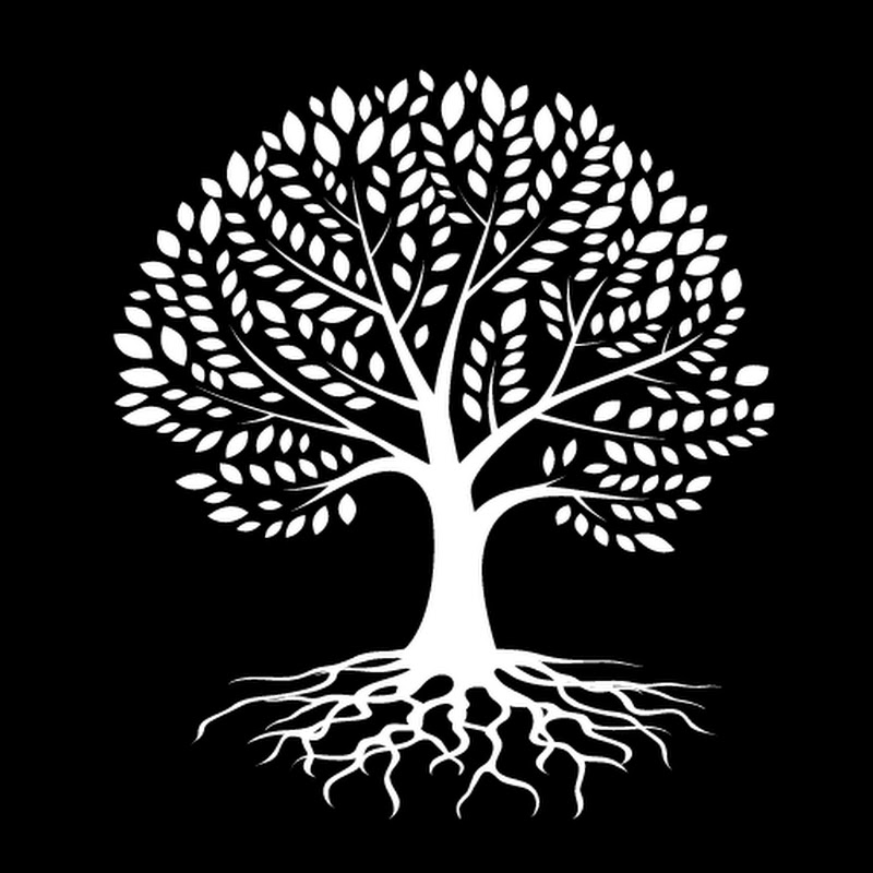 White Tree Capital