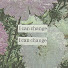 c3tc6pDp7sI-channel-avatar-alice ♦♚