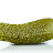 The holy pickle