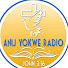 cVaI0-uufQ8-channel-avatar-Anijyokwe radio station