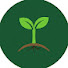 ROrHg_NbEeA-channel-avatar-YB Gardening 
